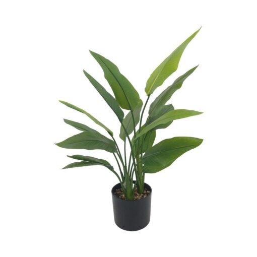 Potted Real Touch Strelitzia (H70cm, H120cm)
